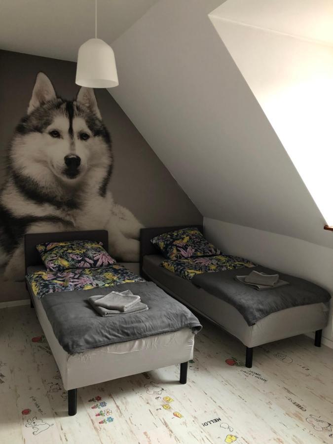 Apartament Lux-Centrum グリヴィツェ エクステリア 写真